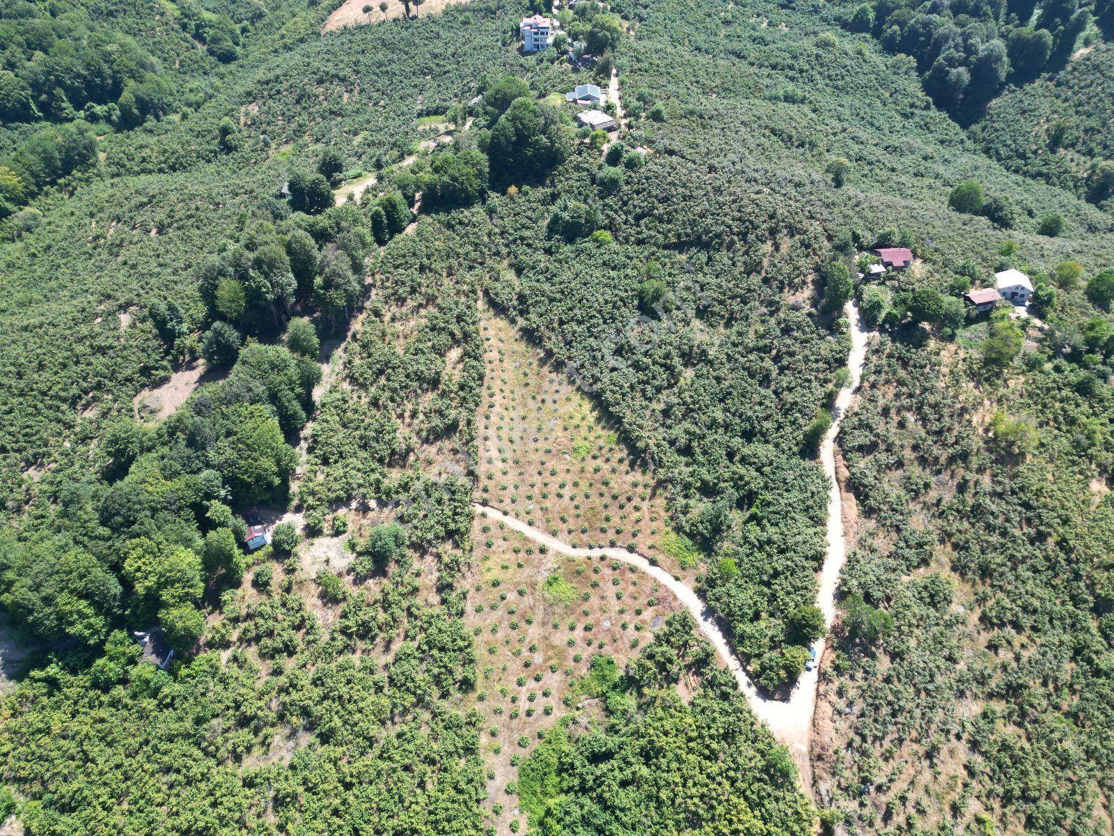 Akçakoca Hasançavuş'da Deniz Manzaralı İmarlı Satılık Arsa - Görsel 21