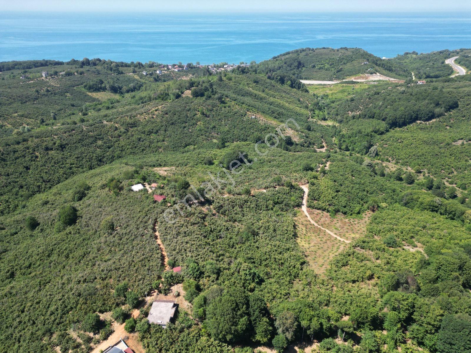 Akçakoca Hasançavuş'da Deniz Manzaralı İmarlı Satılık Arsa - Görsel 2
