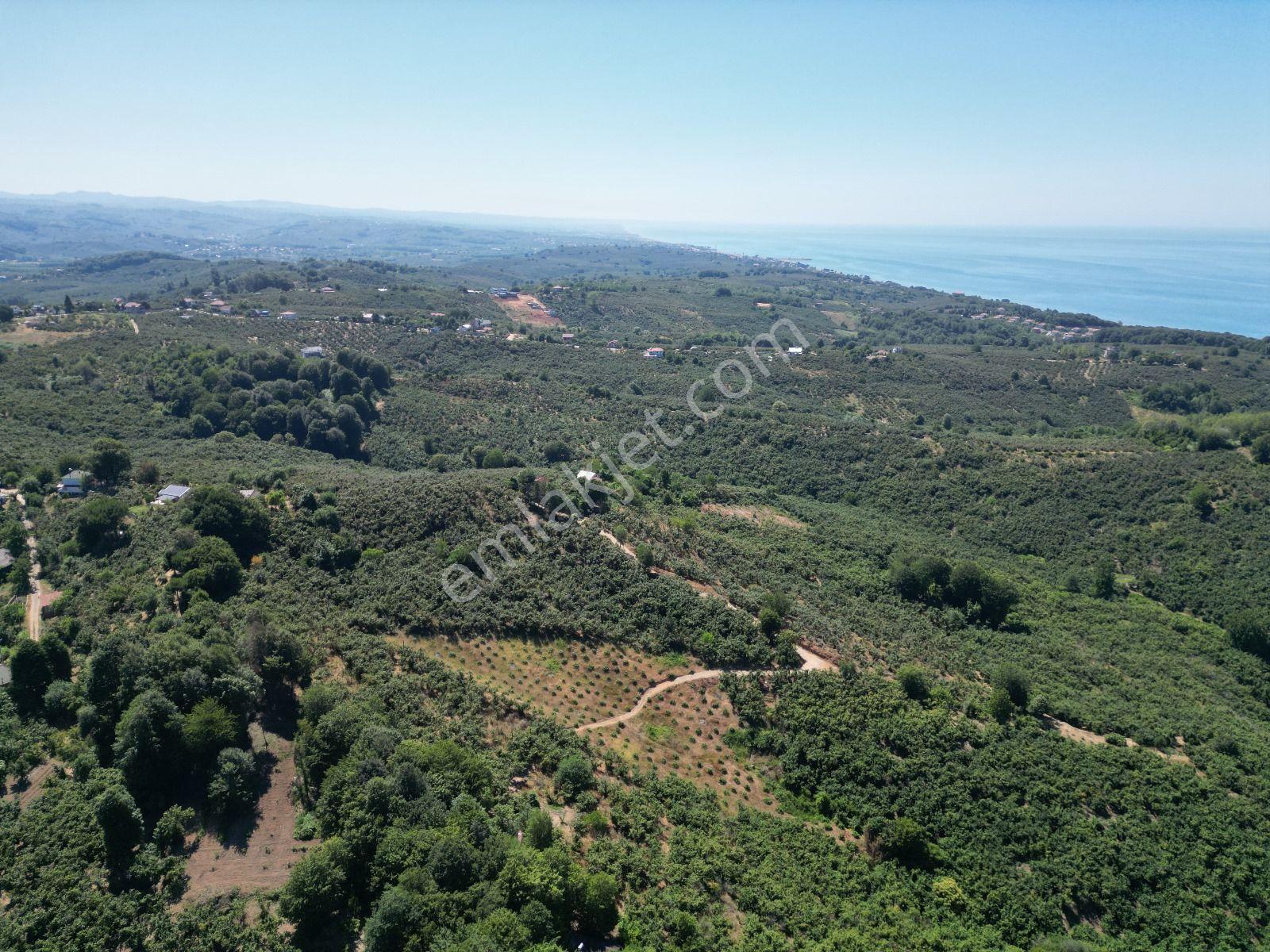 Akçakoca Hasançavuş'da Deniz Manzaralı İmarlı Satılık Arsa - Görsel 7