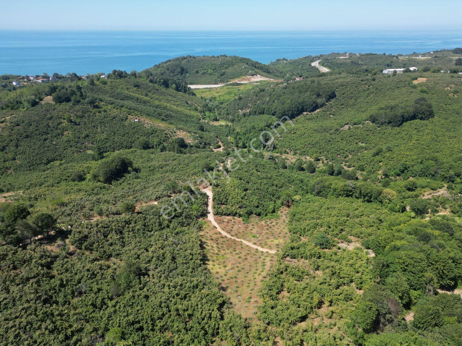 Akçakoca Hasançavuş'da Deniz Manzaralı İmarlı Satılık Arsa - Görsel 10