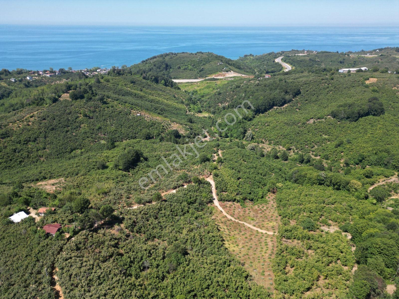 Akçakoca Hasançavuş'da Deniz Manzaralı İmarlı Satılık Arsa - Görsel 3