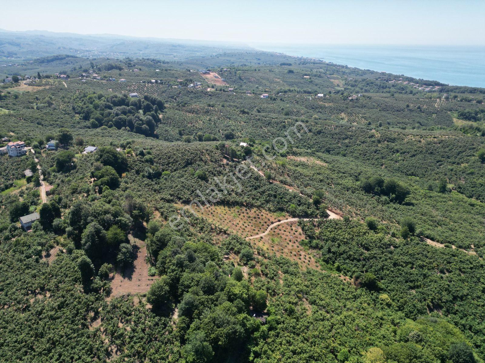 Akçakoca Hasançavuş'da Deniz Manzaralı İmarlı Satılık Arsa - Görsel 13