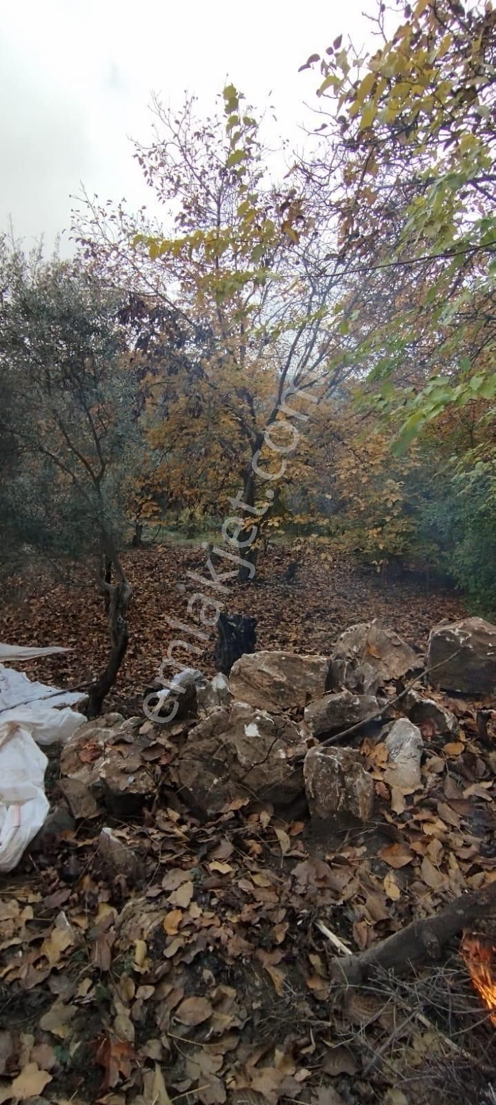 Şahin Gayrimenkul’den Toprak Yatırımı Yapmak İsteyenlere - Görsel 7