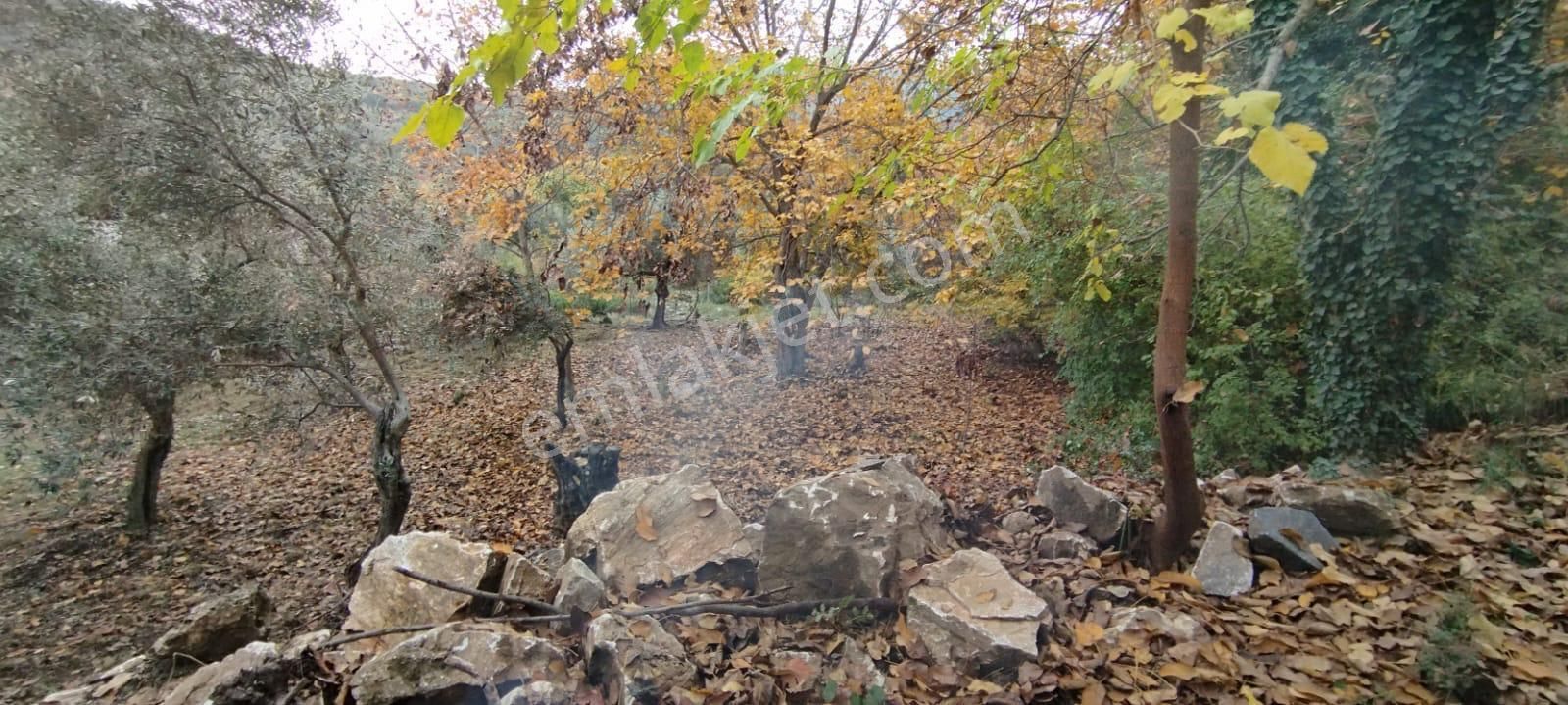 Şahin Gayrimenkul’den Toprak Yatırımı Yapmak İsteyenlere