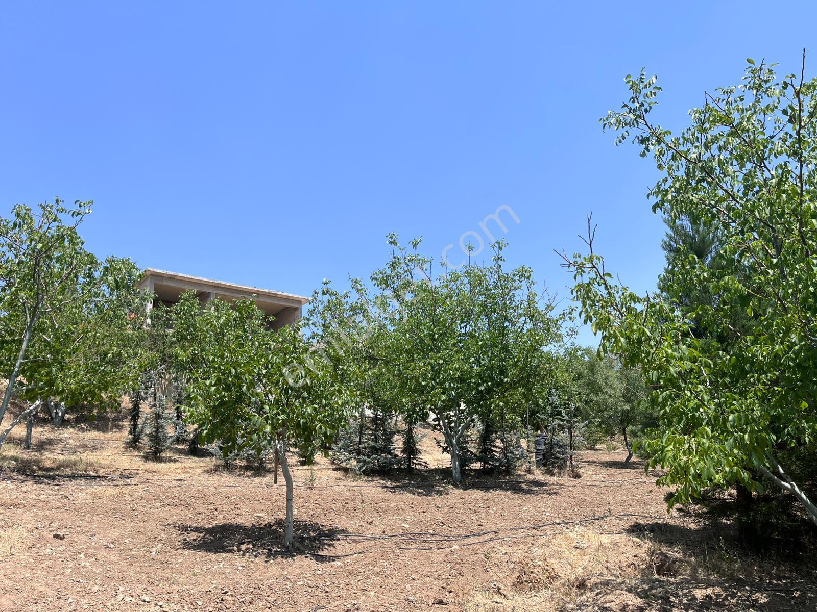 Pursaklar Yeşilyurt'ta 5000 M2 Bahçe - Görsel 2