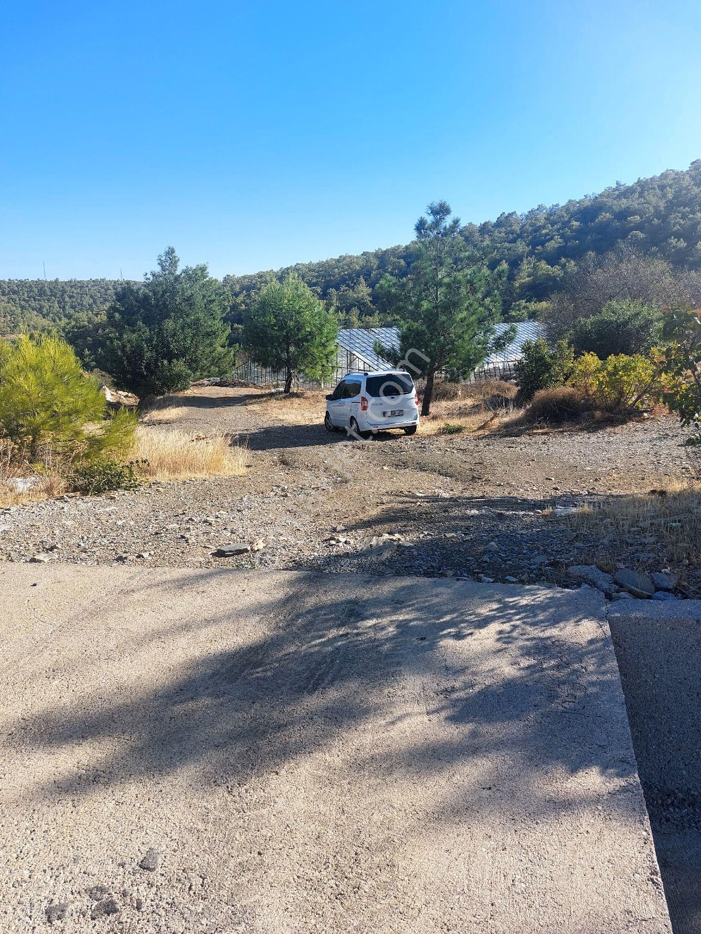 Çağlayan Emlaktan Aydıncık Eskiyörük Karatepede Satılık Tarla - Görsel 30