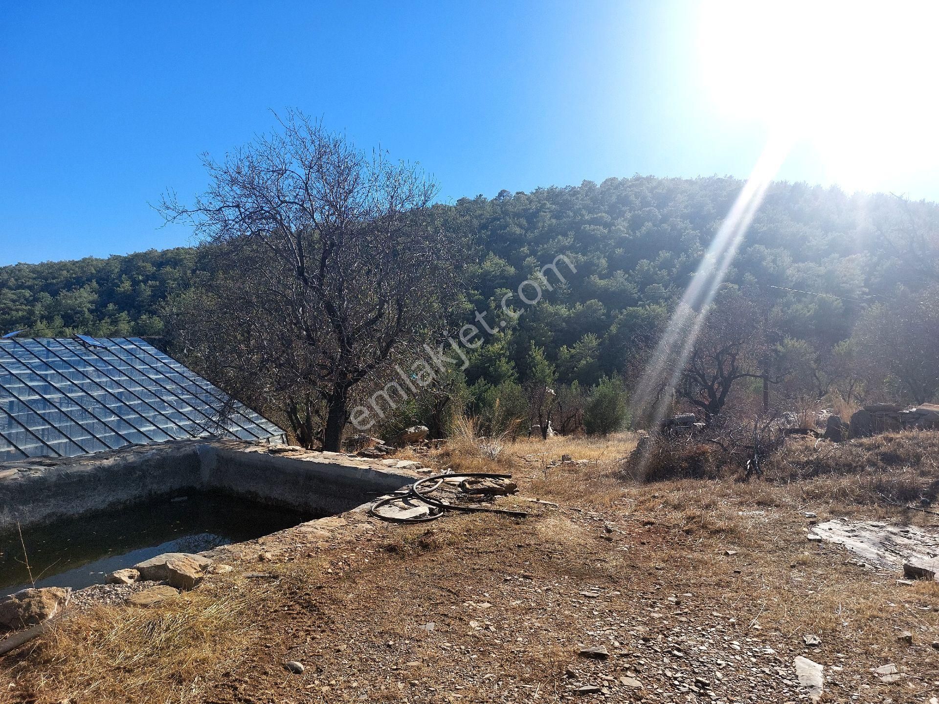 Çağlayan Emlaktan Aydıncık Eskiyörük Karatepede Satılık Tarla - Görsel 12