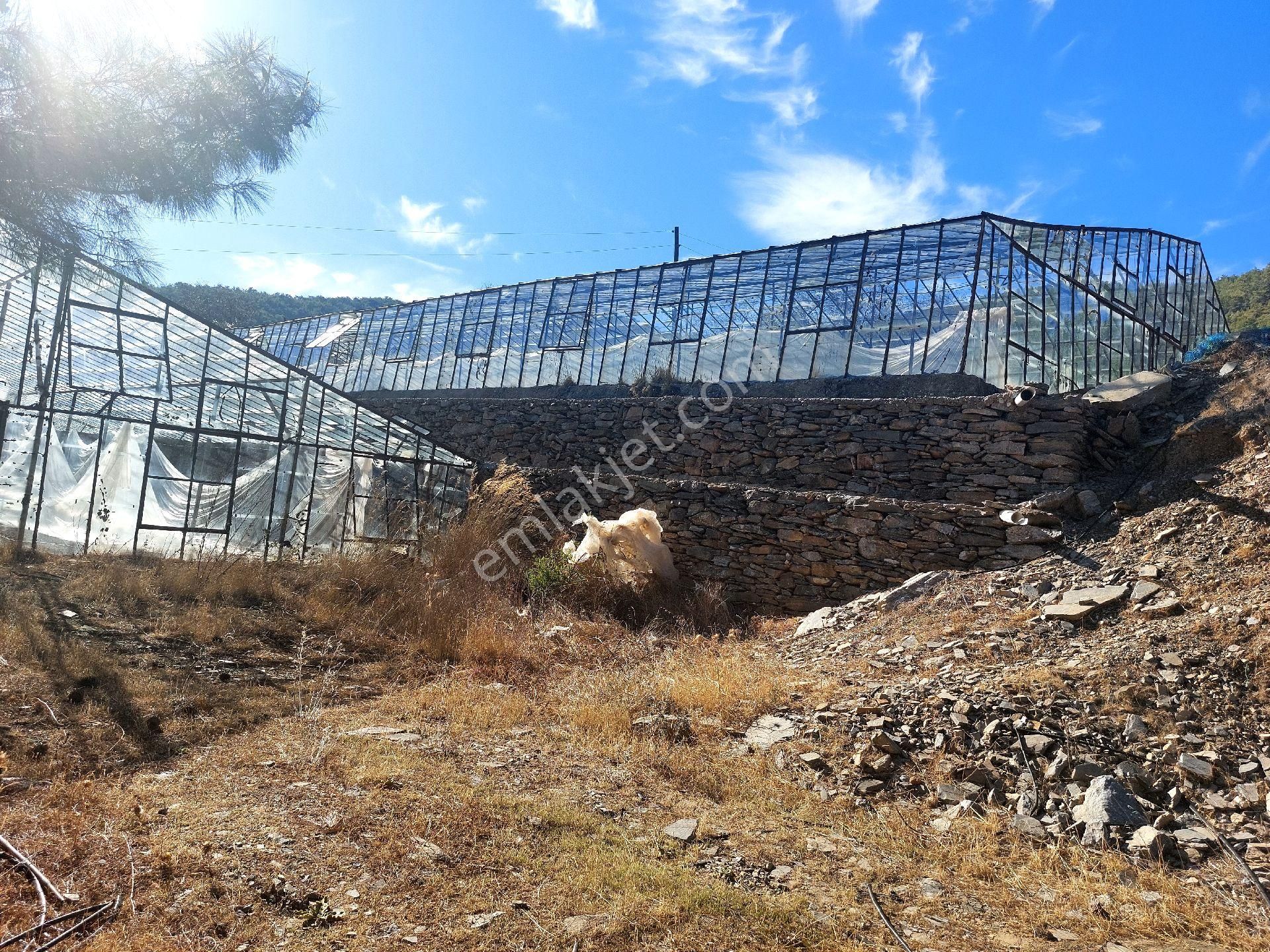 Çağlayan Emlaktan Aydıncık Eskiyörük Karatepede Satılık Tarla - Görsel 35