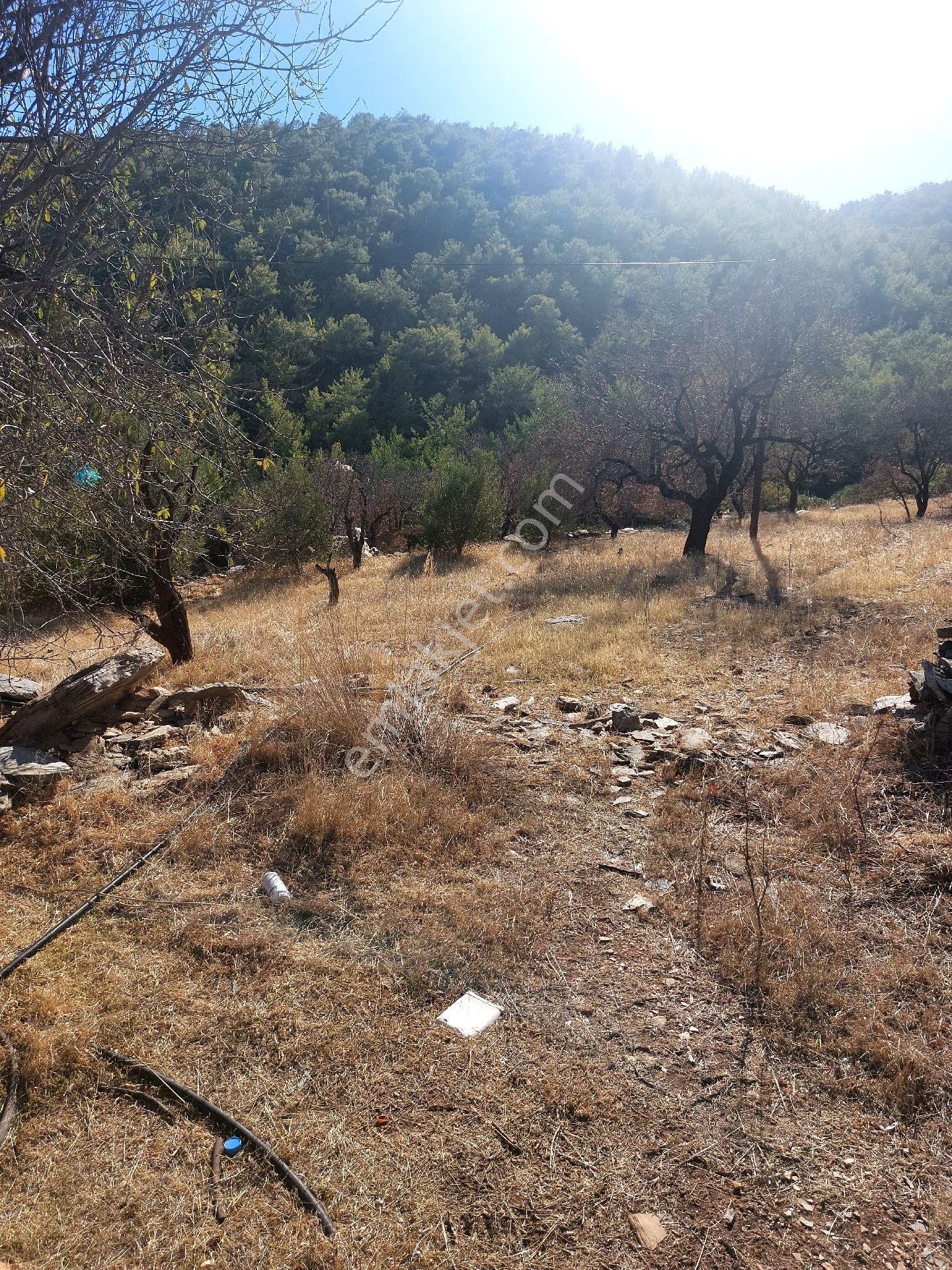 Çağlayan Emlaktan Aydıncık Eskiyörük Karatepede Satılık Tarla - Görsel 15