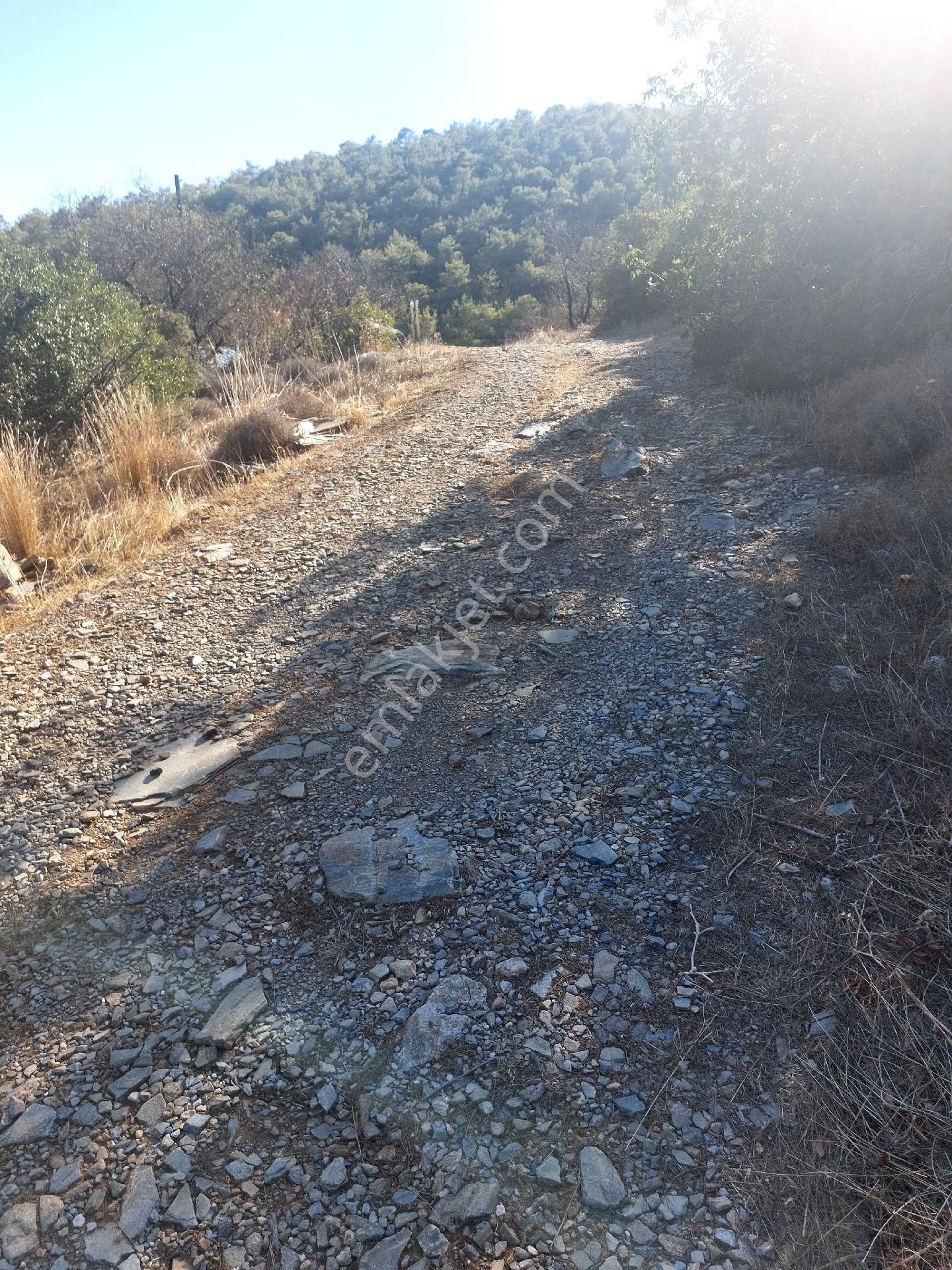 Çağlayan Emlaktan Aydıncık Eskiyörük Karatepede Satılık Tarla - Görsel 20
