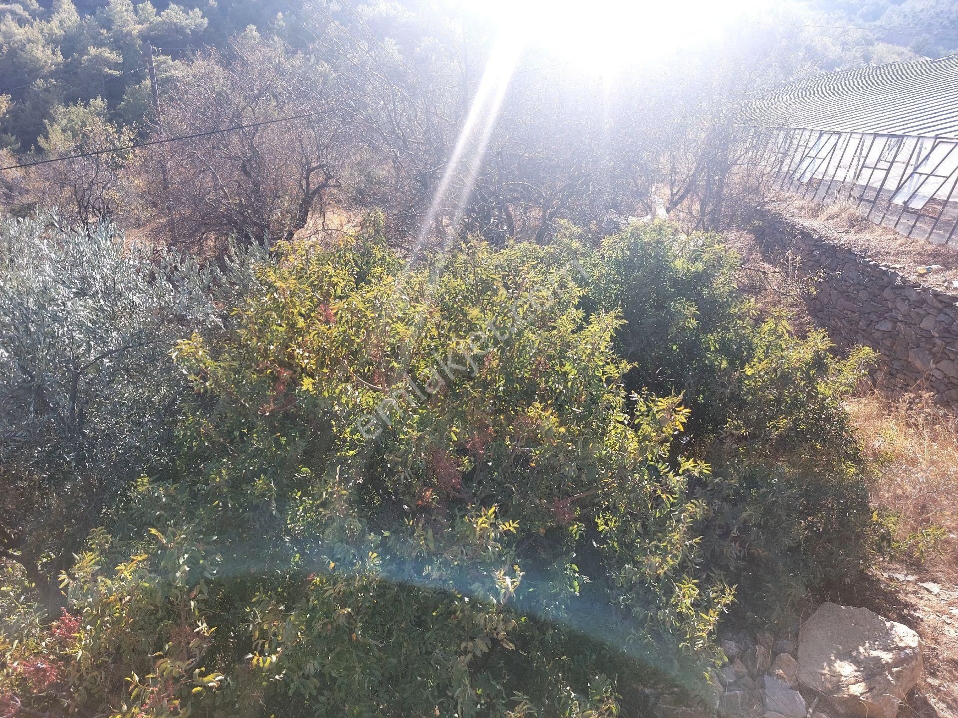 Çağlayan Emlaktan Aydıncık Eskiyörük Karatepede Satılık Tarla - Görsel 26