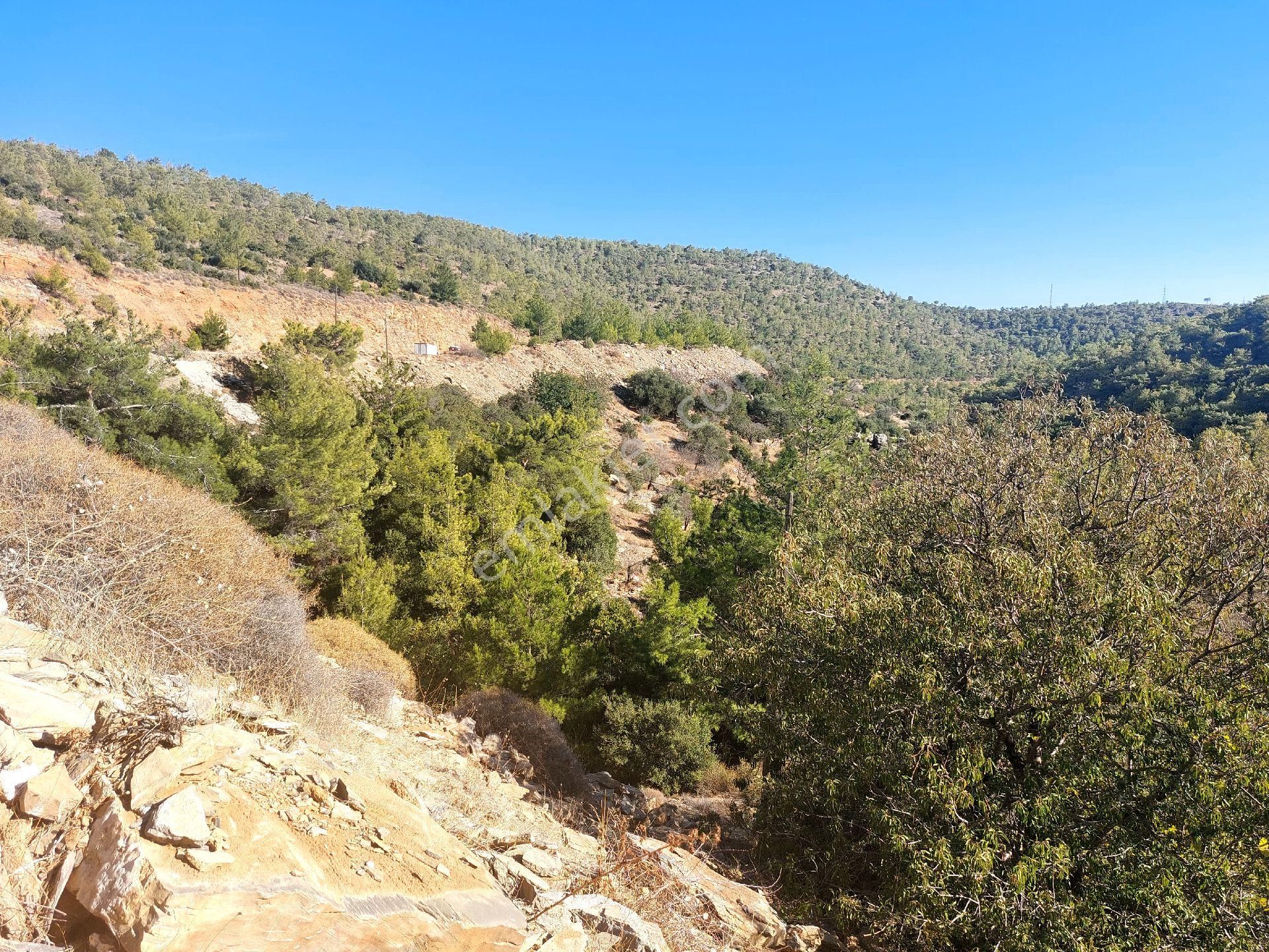 Çağlayan Emlaktan Aydıncık Eskiyörük Karatepede Satılık Tarla - Görsel 28