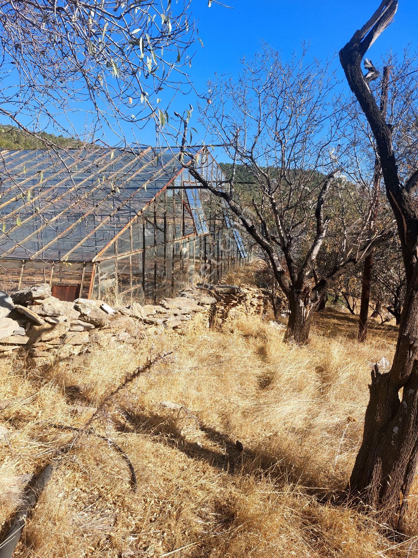 Çağlayan Emlaktan Aydıncık Eskiyörük Karatepede Satılık Tarla - Görsel 13
