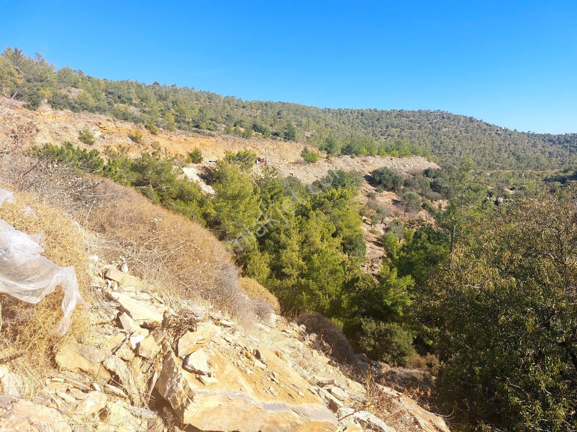 Çağlayan Emlaktan Aydıncık Eskiyörük Karatepede Satılık Tarla - Görsel 27