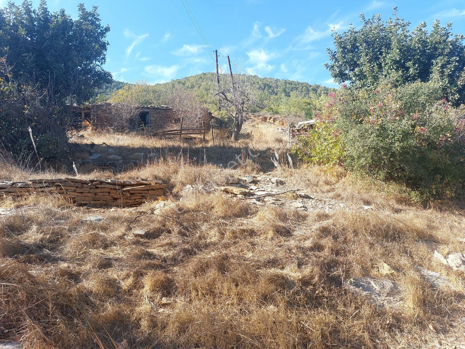 Çağlayan Emlaktan Aydıncık Eskiyörük Karatepede Satılık Tarla - Görsel 23