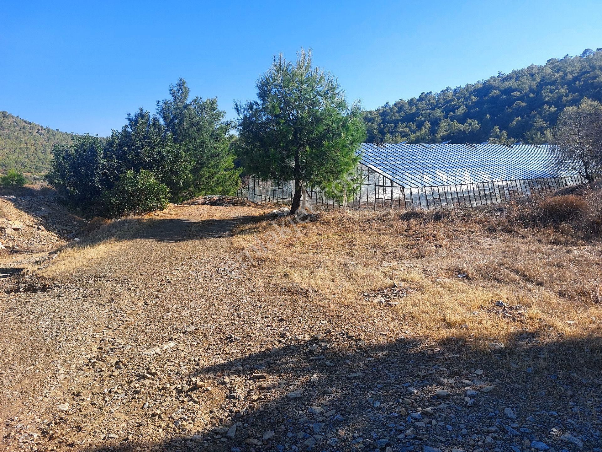 Çağlayan Emlaktan Aydıncık Eskiyörük Karatepede Satılık Tarla