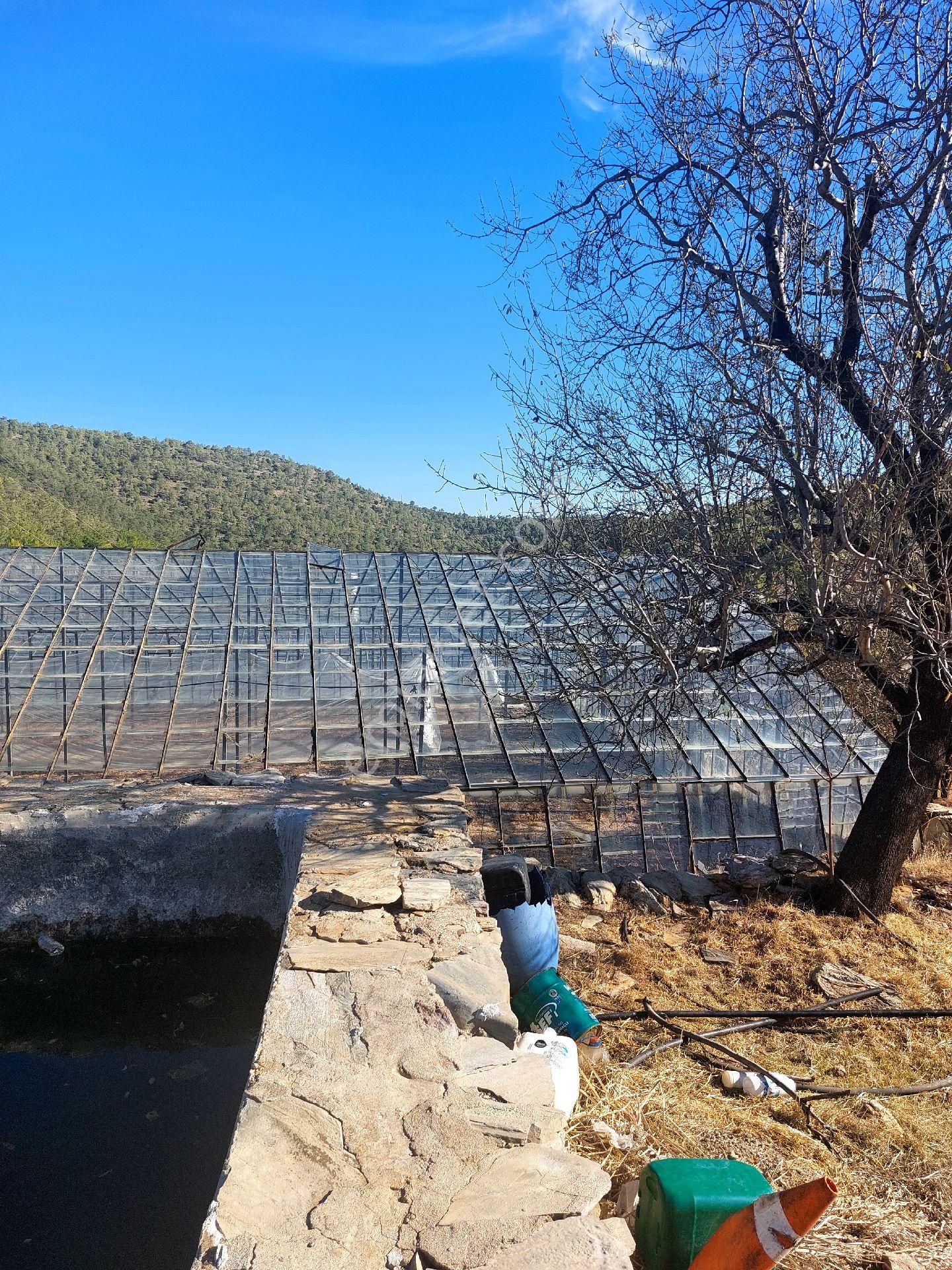 Çağlayan Emlaktan Aydıncık Eskiyörük Karatepede Satılık Tarla - Görsel 17