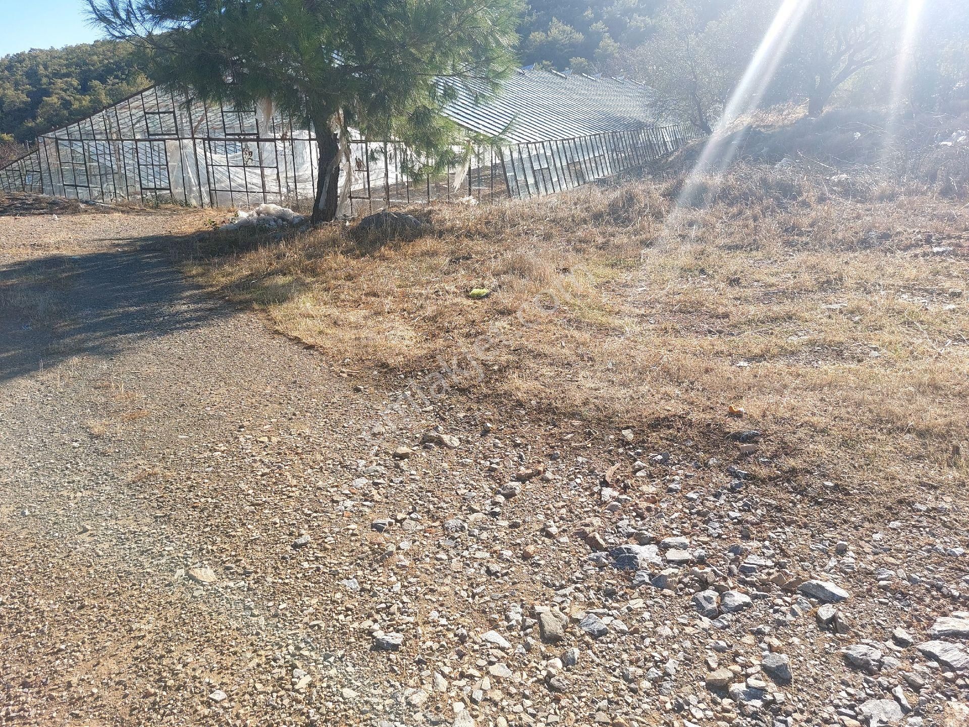 Çağlayan Emlaktan Aydıncık Eskiyörük Karatepede Satılık Tarla - Görsel 29