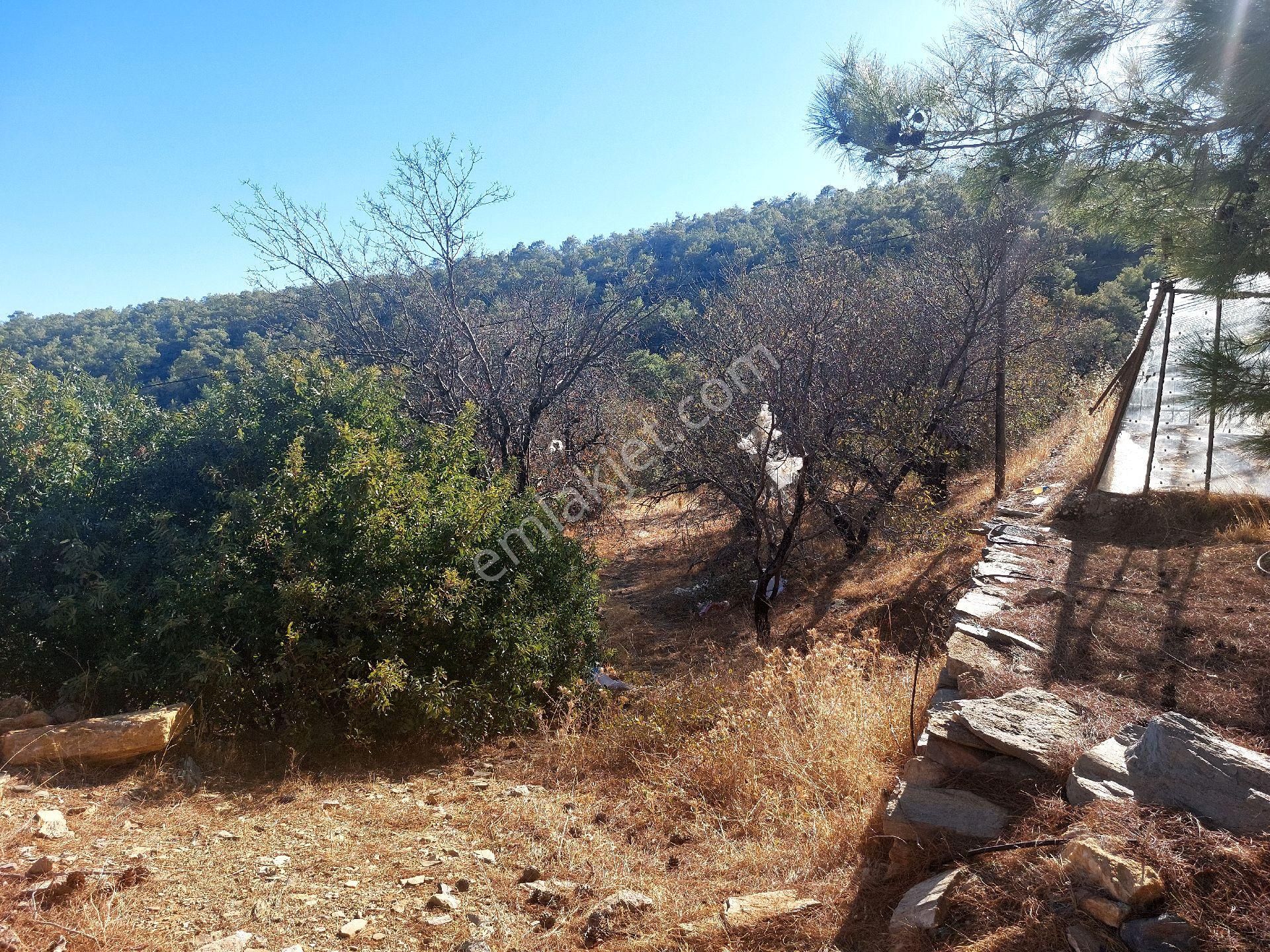 Çağlayan Emlaktan Aydıncık Eskiyörük Karatepede Satılık Tarla - Görsel 9