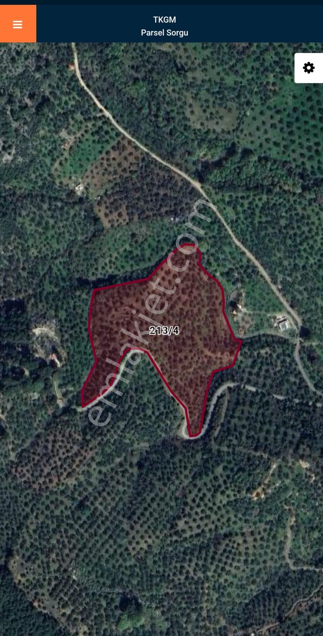 Golden Globy, Edremit Dereli'de​ Satılık 3 Parsel Toplam 29 Dönüm Zeytinlik - Görsel 4