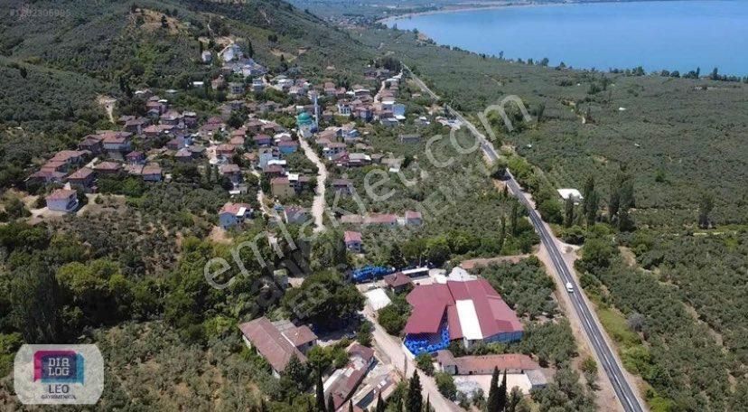 Dilaog Leo'dan Dutluca Köyünde İznik Yoluna Cephe Satılık Tarla - Görsel 10