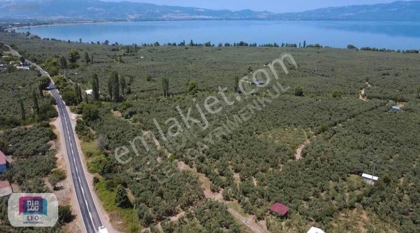 Dilaog Leo'dan Dutluca Köyünde İznik Yoluna Cephe Satılık Tarla - Görsel 7