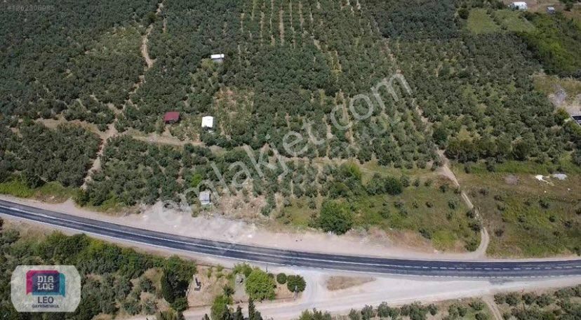 Dilaog Leo'dan Dutluca Köyünde İznik Yoluna Cephe Satılık Tarla - Görsel 3