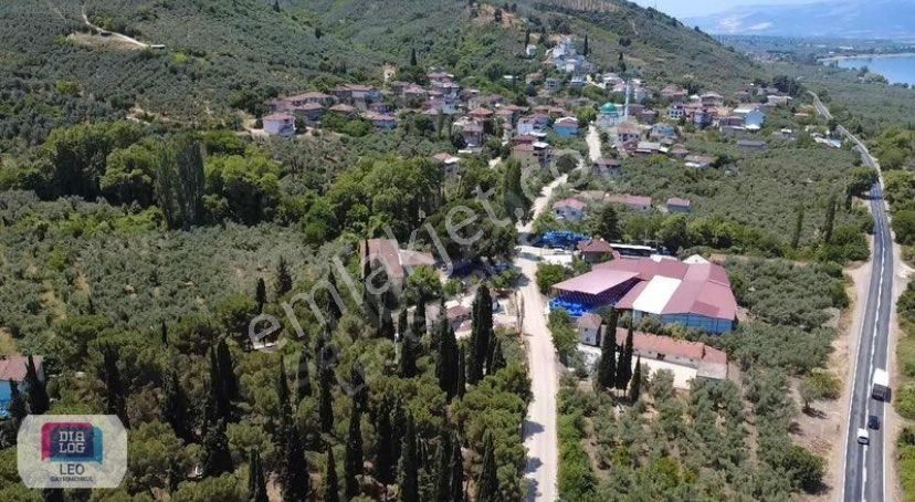 Dilaog Leo'dan Dutluca Köyünde İznik Yoluna Cephe Satılık Tarla - Görsel 11