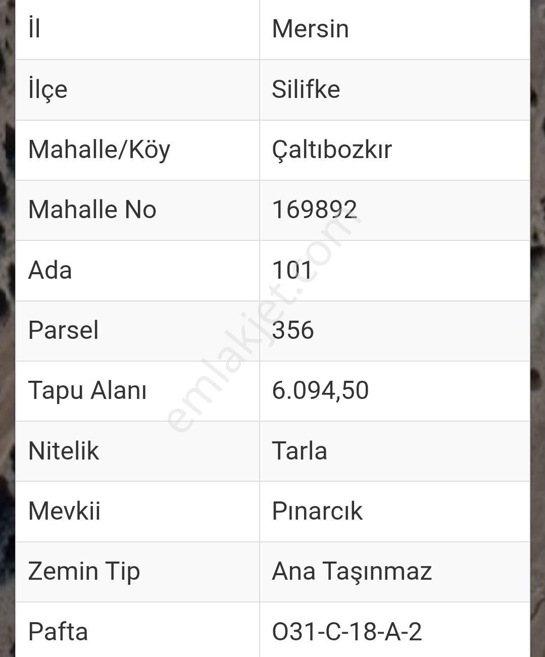 Çaltıbozkırda Satılık Tarla - Görsel 3