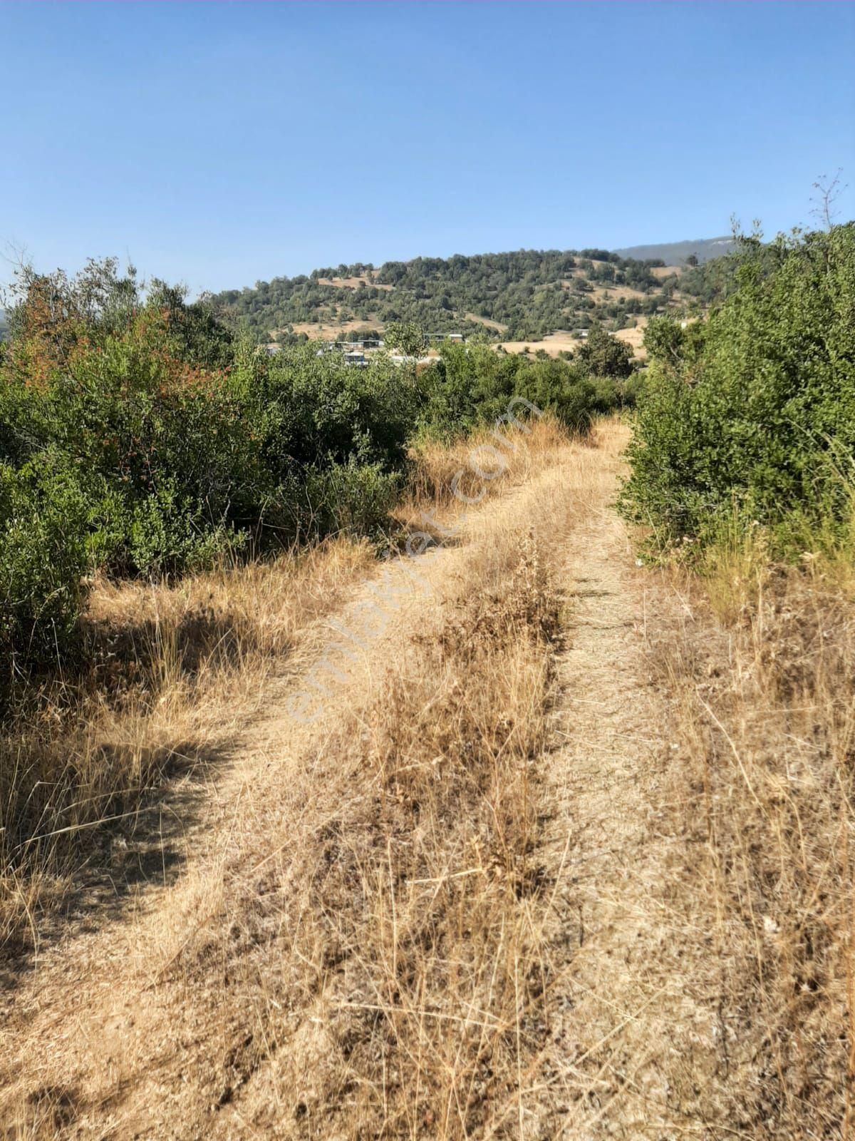 Saltoğlundan Kestel Nushetiyede Satılık Tarla - Görsel 3