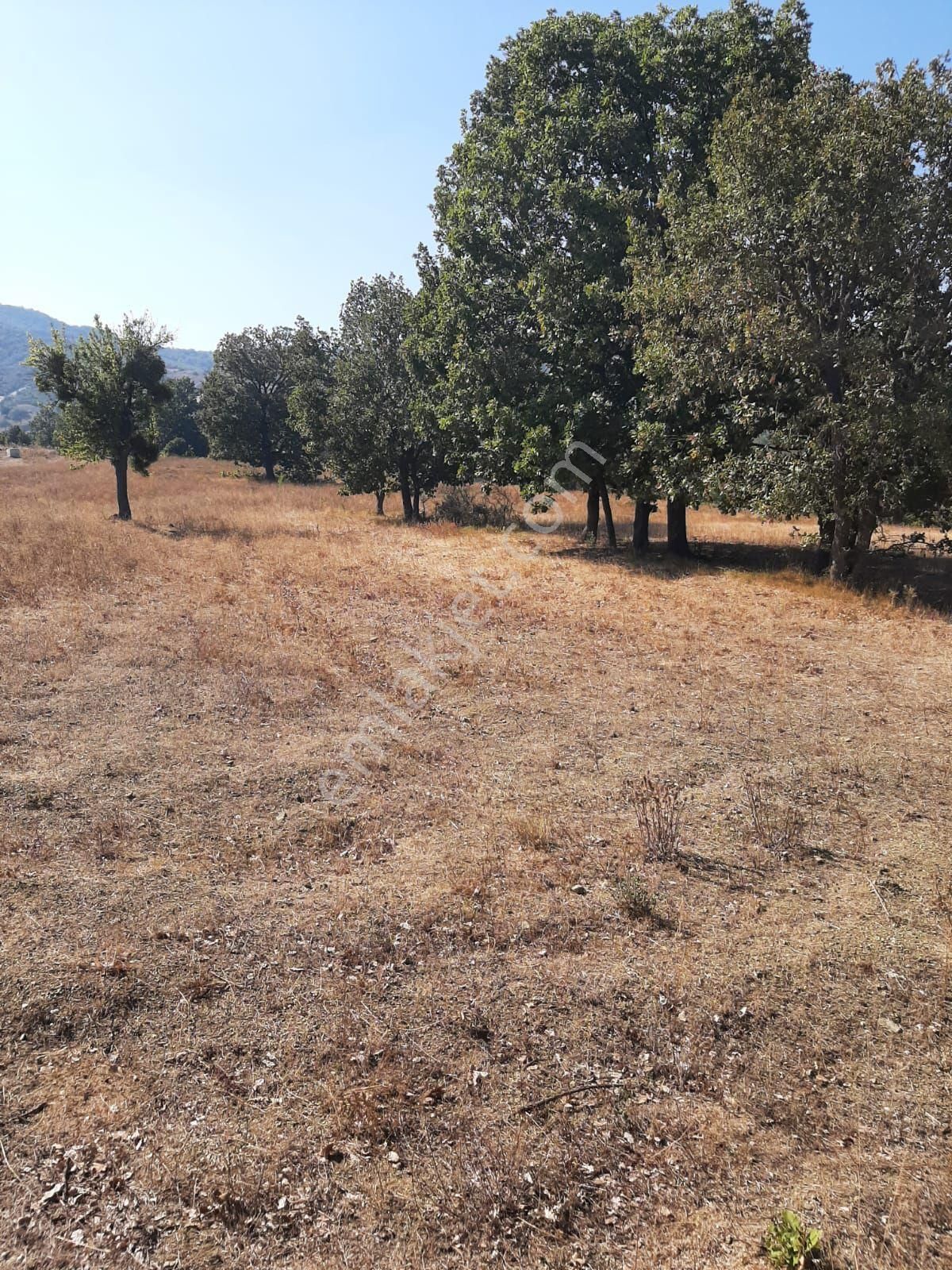 Saltoğlundan Kestel Nushetiyede Satılık Tarla - Görsel 17