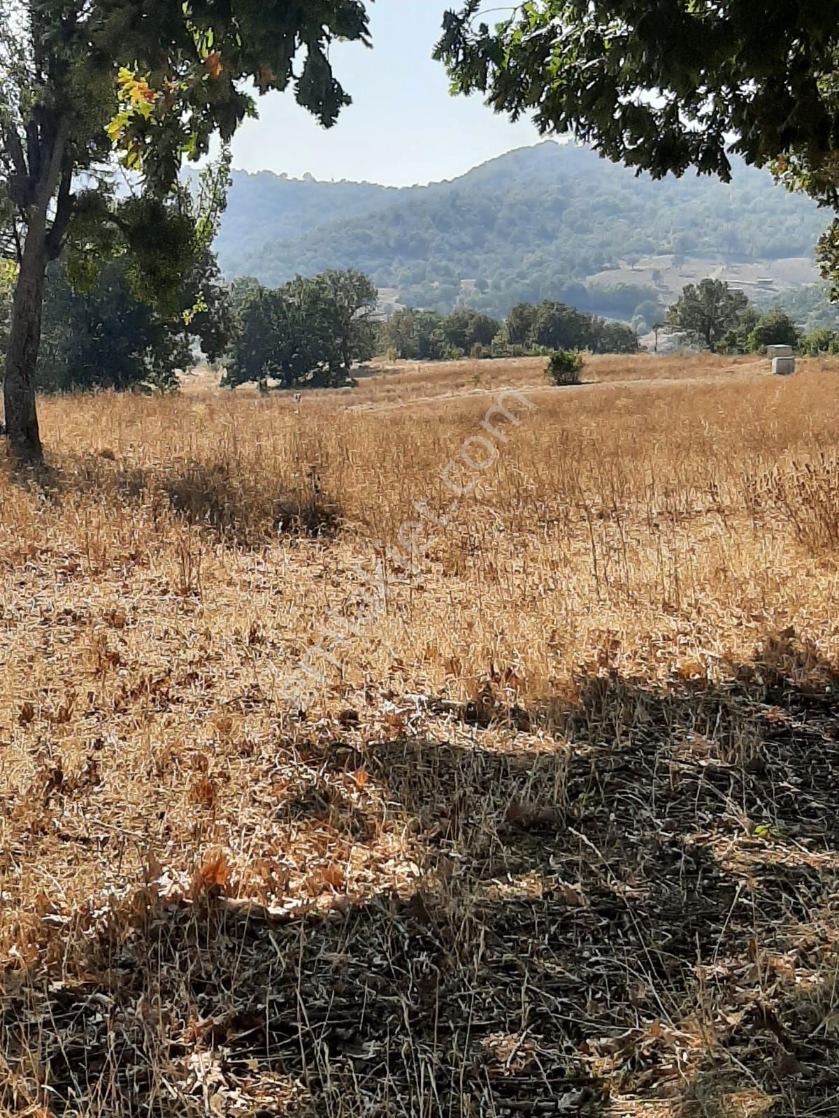 Saltoğlundan Kestel Nushetiyede Satılık Tarla - Görsel 5