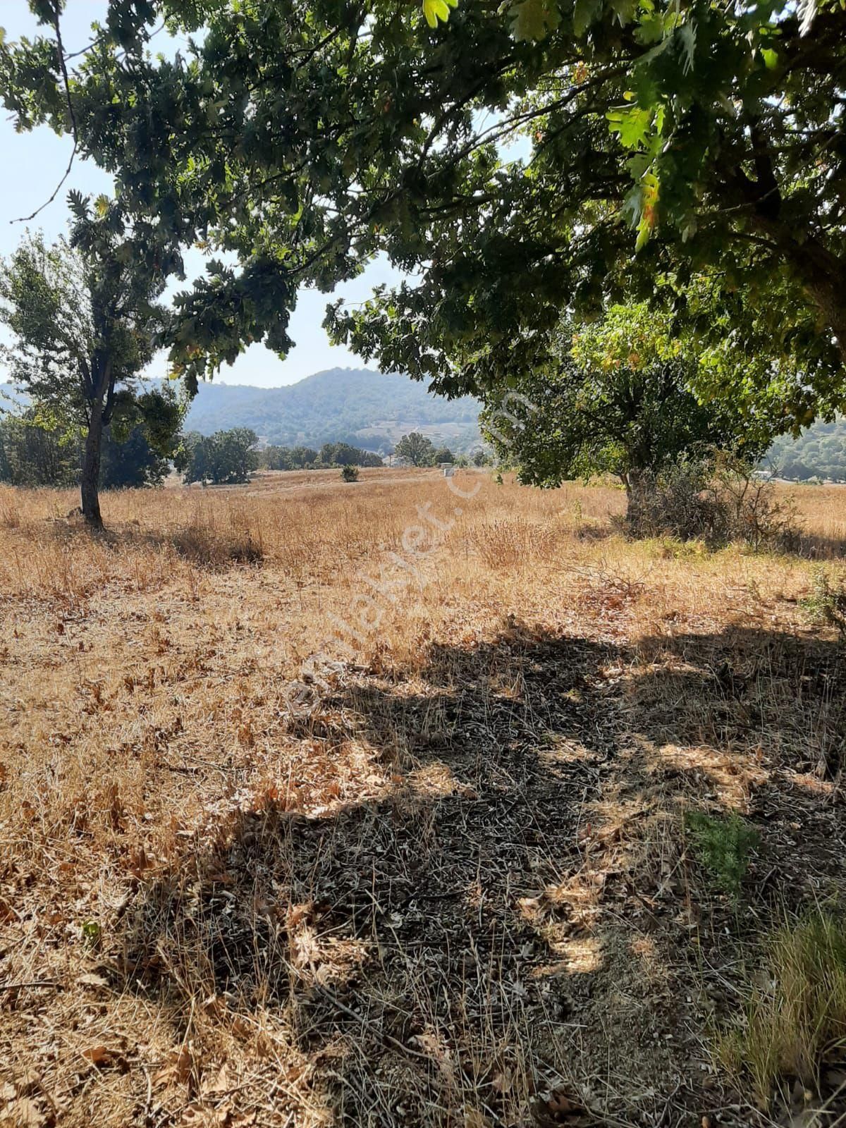 Saltoğlundan Kestel Nushetiyede Satılık Tarla - Görsel 21