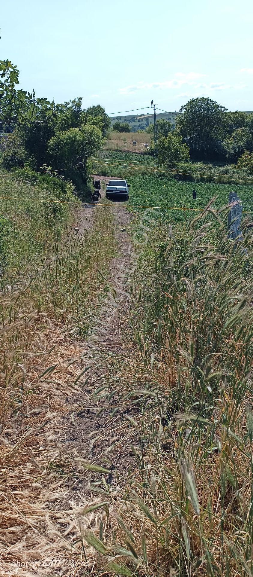 Silivri Değirmenköy İsmetpaşa - Görsel 4