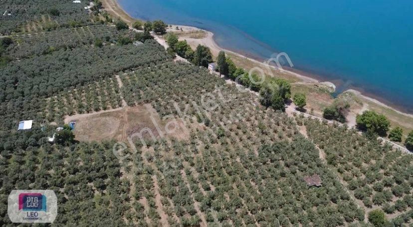 Dialog Leo'dan Dutluca Köyünde İznik Gölüne 100 Mt Satılık Tarla - Görsel 12