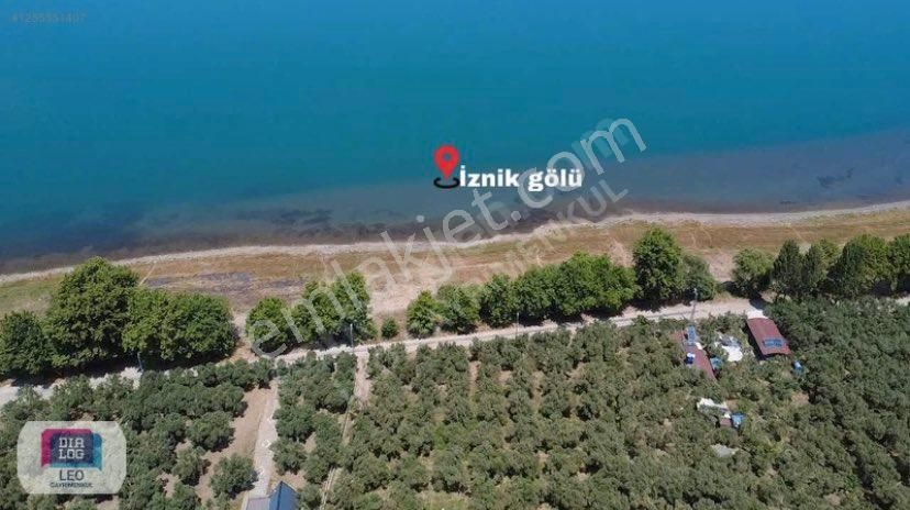 Dialog Leo'dan Dutluca Köyünde İznik Gölüne 100 Mt Satılık Tarla - Görsel 5