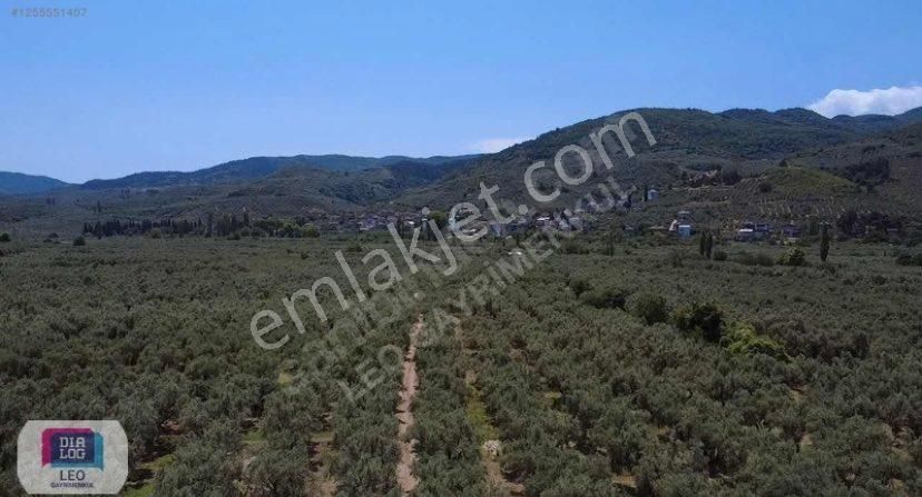 Dialog Leo'dan Dutluca Köyünde İznik Gölüne 100 Mt Satılık Tarla - Görsel 16