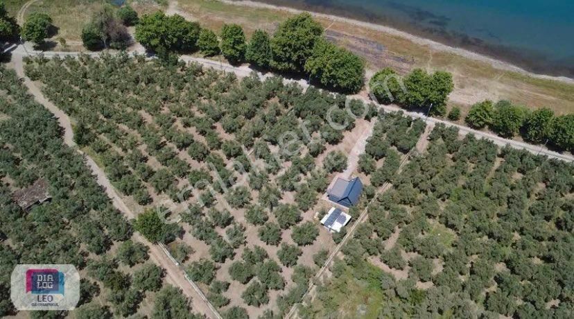 Dialog Leo'dan Dutluca Köyünde İznik Gölüne 100 Mt Satılık Tarla - Görsel 10