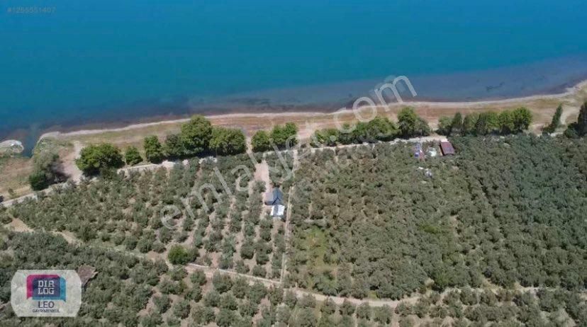 Dialog Leo'dan Dutluca Köyünde İznik Gölüne 100 Mt Satılık Tarla - Görsel 2