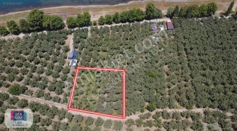 Dialog Leo'dan Dutluca Köyünde İznik Gölüne 100 Mt Satılık Tarla - Görsel 3