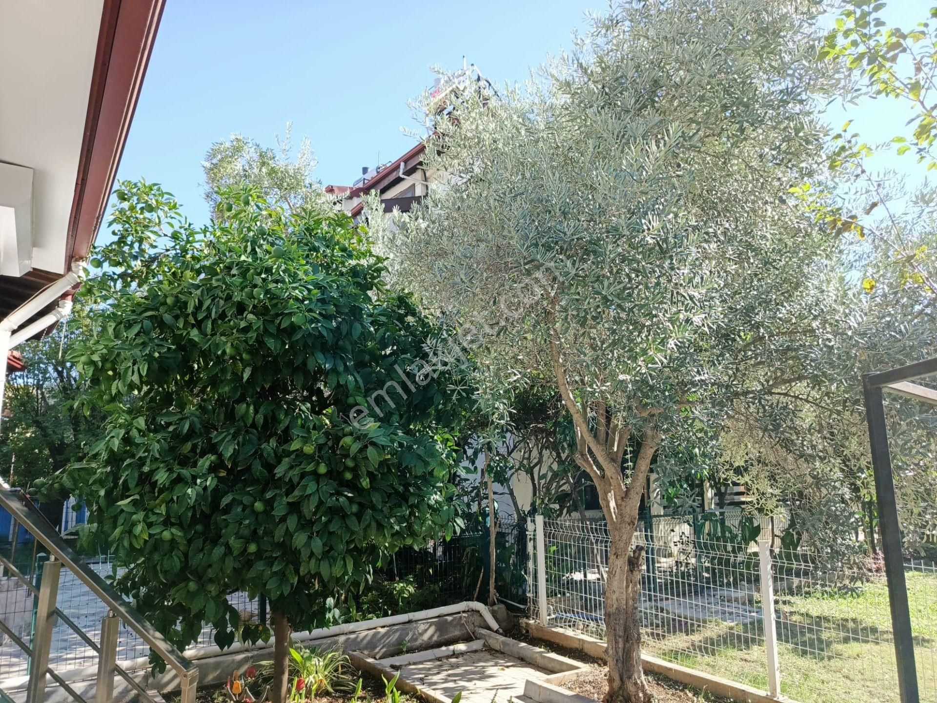 Stop'tan Çalışta Denize 300 Metre Villa - Görsel 8