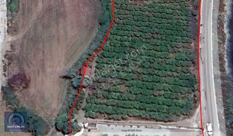 Dalaman Görköyde Yola Cepheli 5000m² Satılık Tarla - Görsel 12