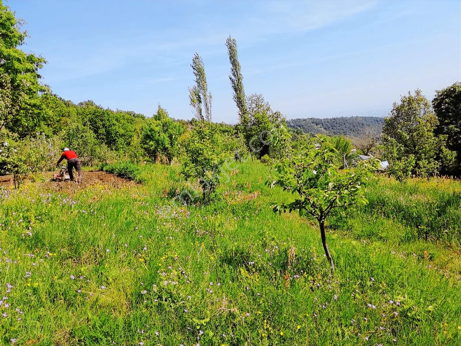 Turyap`tan Nilüfer Maksempınar``da Satılık 1.600m2 Arazi - Görsel 4