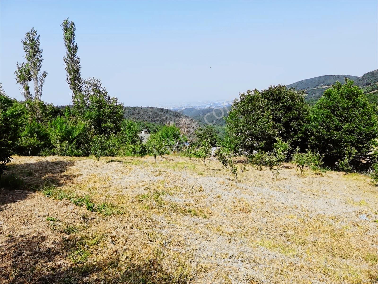 Turyap`tan Nilüfer Maksempınar``da Satılık 1.600m2 Arazi - Görsel 22