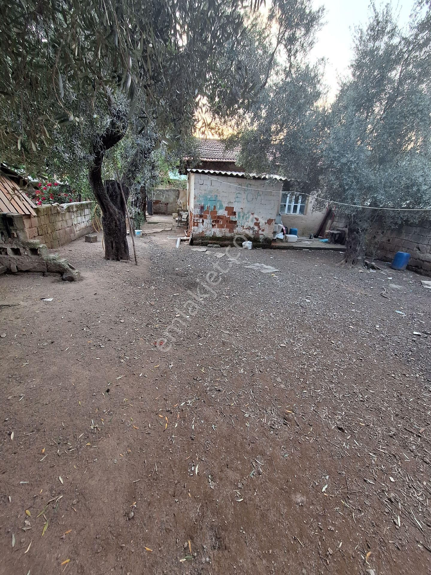 İmarlı Arsa Yatırım Fırsatı - Görsel 7