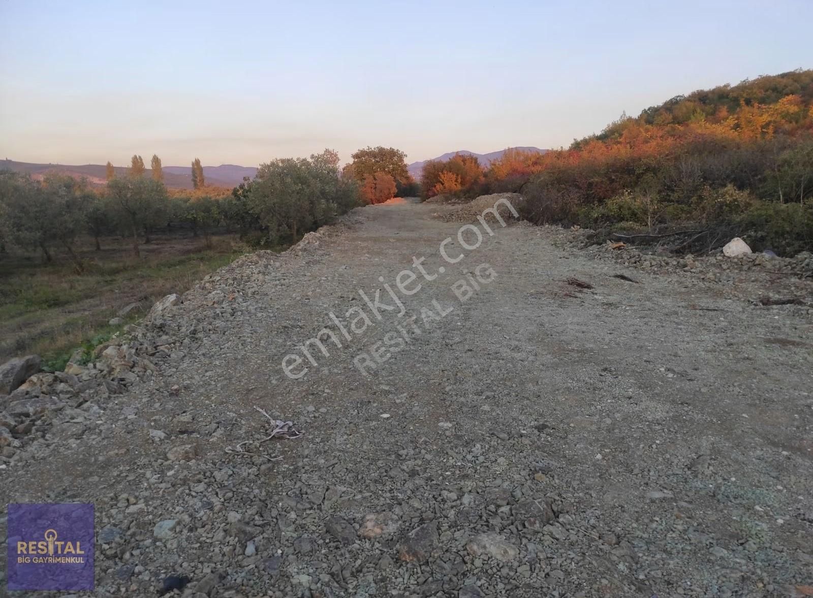 Gençali Mah. 7815 M² Tarla Resital Big Gayrimenkulde - Görsel 5