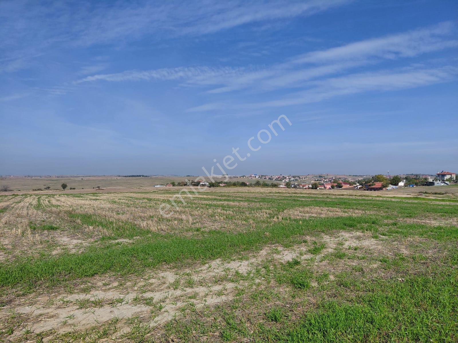 Edirne-ipsala-esetçe-satılık Arazi-imar, Yerleşime 200m-yolkenarı-içinden Su Hattı Geçmekte-tek Tapu - Görsel 16