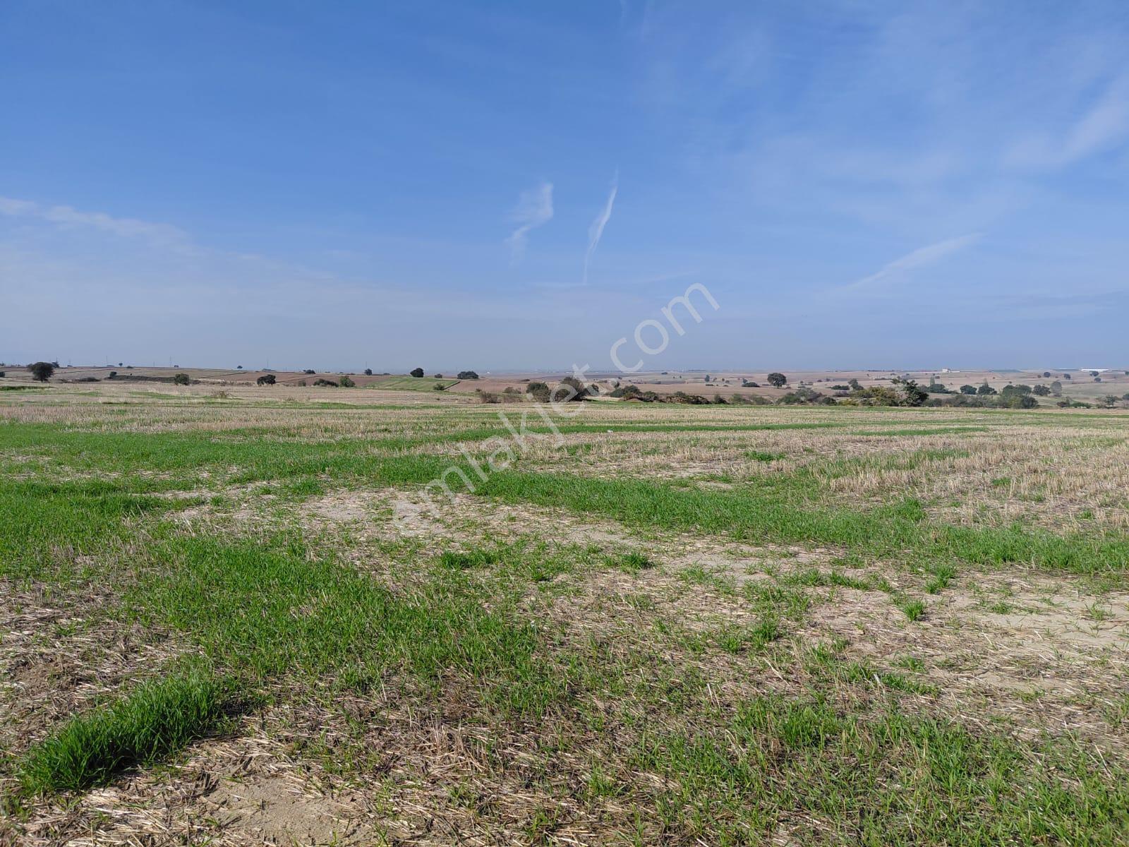 Edirne-ipsala-esetçe-satılık Arazi-imar, Yerleşime 200m-yolkenarı-içinden Su Hattı Geçmekte-tek Tapu - Görsel 17