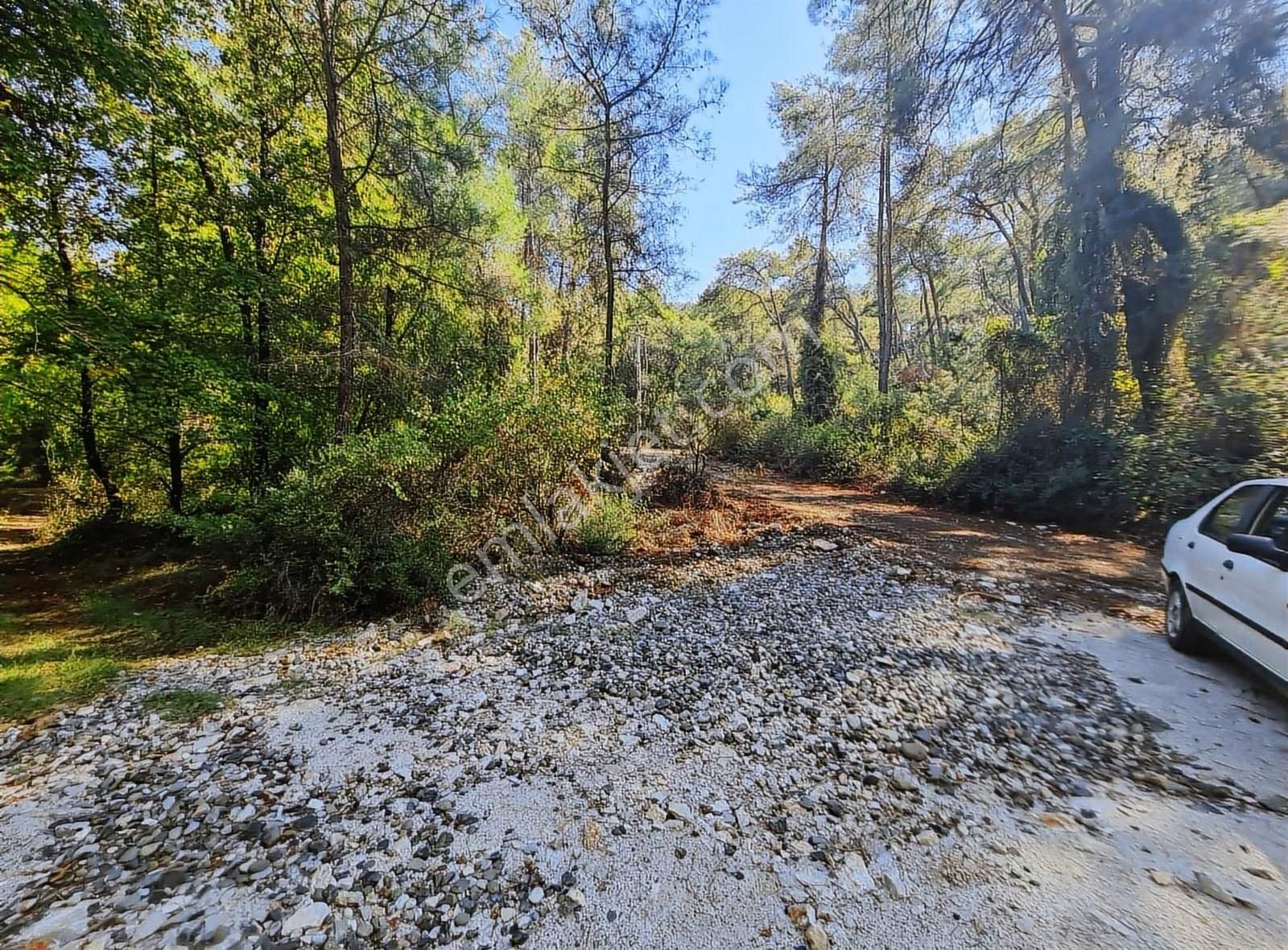 Zeytinalanında 4100 M2 Satılık Tarla. - Görsel 31