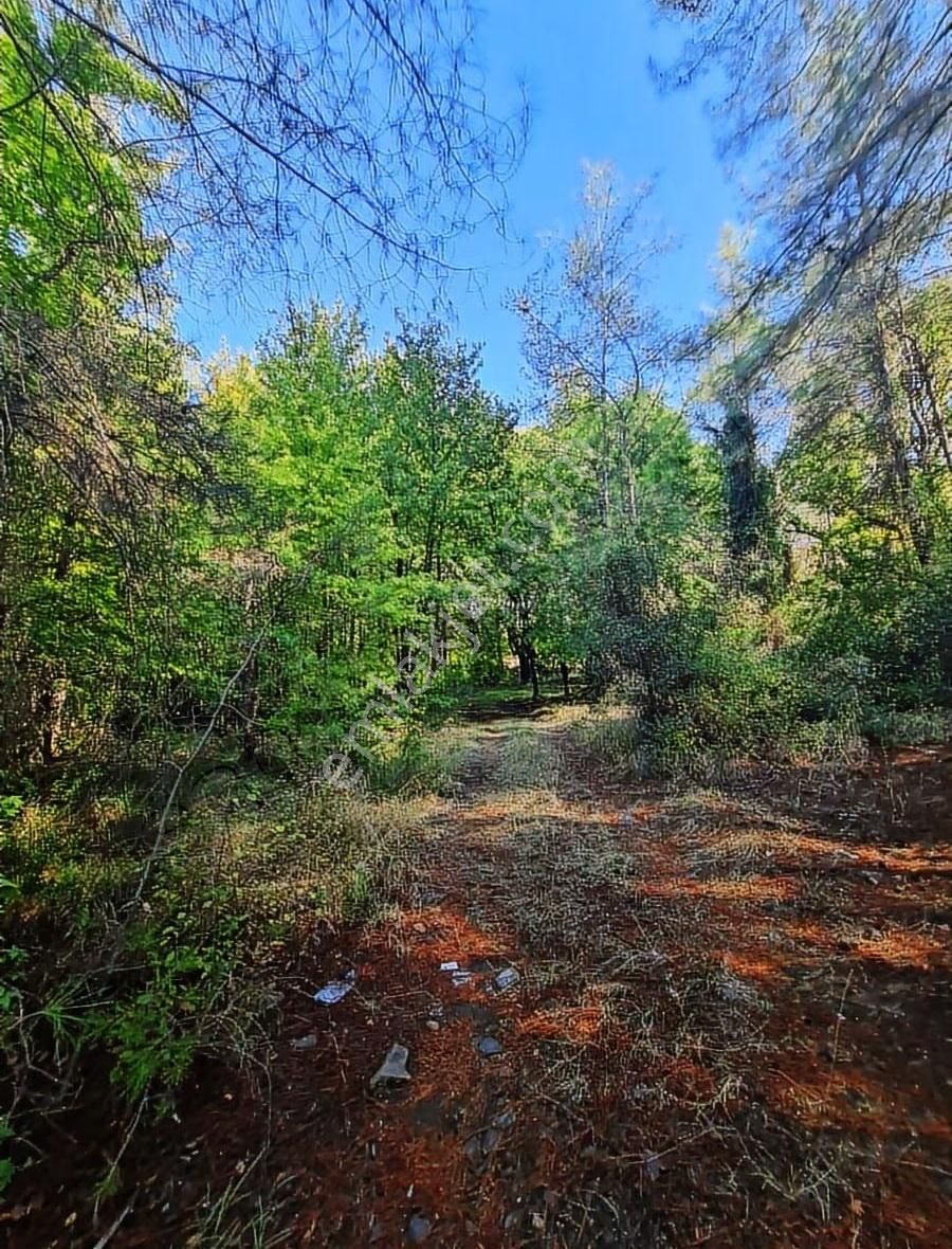 Zeytinalanında 4100 M2 Satılık Tarla. - Görsel 20